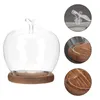 Bouteilles de stockage couvercle en verre de pomme cloche pot affichage dôme bac transparent avec couvercle décor de fleur