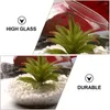 Vaser Micro Landscape Ecological Bottle Mini Glass Stor rund planterbehållare Liten Clear Vase Holder Terrarium DIY