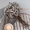 Dekorativa blommor ins vit frukt naturlig torr blomma nordisk stil torkad diy julkrans material arrangemang hem bordsdekor