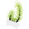 Decorative Flowers Artificial Potted Plant Faux Plants For Shelves Lifelike Plastic White And Green