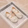 Princesa da menina 2024 primavera e novas crianças pouco couro outono bebê cristal brilhando água diamante único sapatos
