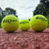 Welkin 3pcs Training Tennis Professional Ball с Carry Back High Bounce Forking Friend Flower School Club 240329