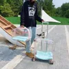 Kattendragers Reisdrager Designerbagage Draagbare grote plastic koffer voor buiten Transparante harde schaal Bolsa huisdierkooi