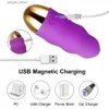 Autres éléments de beauté de la santé Bullet Stimulateur vaginal Amour Vibration Femmes sous-vêtements Vibration portable Femmes pour femmes Produits adultes USB rechargeable Y240402