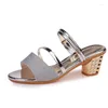 Sandalen Plattform Schuhe Hausschuhe Sommer Koreanische Version Weibliche Dicke Ferse Offene spitze Schuh Zwei Tragen Cool