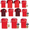 Internacional Soccer Jerseys 24/25 Sport Club soccer jersey 2023 Home red A. PATRICK NICO Shirt DE PENA WANDERSON GUERRERO Football Uniform