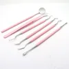 Set per la pulizia orale della sonda per la rimozione dei calcoli del tartaro delle macchie dei denti degli strumenti orali domestici