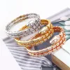 Bangles Designer Style Femmes Lady Plated Gold Color Paramètres Full Cumbic Zircon Snakelike Elastic Double Circle Bangle Bracelet