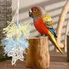 Autres fournitures d'oiseaux Cage Perakeet Jouets Star Ball Décoration Perroquet Vase à mâcher Remplisseurs Boules en osier Accessoires pour Sparrow Macaws