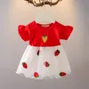 Mała dziewczynka księżniczka sukienka Summer Baby Dress Internet Czerwona nowa puszysta sukienka