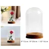 Vases à fleurs préservées, couvercle en verre, dôme, cloche, affichage transparent