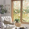 Pegatinas de ventana Kizcozy SE500-UV-43X100CM Patrón de frutas y flores de otoño Película de privacidad transparente para decoración de vidrio de sala de estar