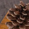 Vases TOYMYTOY 50pcs 6-8cm Christmas Natural Pine Cones Pinecone Decor Xmas Tree Decoration Crafts Home House Kitchen Winter