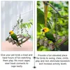 Andra fågelförsörjningar papegoja leksak tugga små leksaker hängande stege parakeet husdjur svängande trähänge klättra