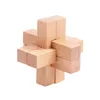 Nouveau design MINI 3D naturel IQ puzzle en bois IQ jeu verrouillage Luban serrure pour casse-tête