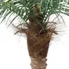 Flores decorativas artificial coqueiro palma falsa simulação planta bonsai interior tropical verde piso vaso vaso decoração de casa