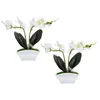 Decoratieve bloemen 2 stuks simulatie Phalaenopsis kunstmatige nepbonsai faux plant in pot plastic geëmuleerd ingemaakte