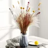 Decoratieve Bloemen Pampas Gras Home Decor Echt Riet Natuurlijke Gedroogde Plant Bruiloft Decoratie Accessoires Droge Bloemen Bos Decoratie