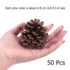 Vases TOYMYTOY 50pcs 6-8cm Christmas Natural Pine Cones Pinecone Decor Xmas Tree Decoration Crafts Home House Kitchen Winter