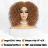 Wigs 14 Inch Synthetic Short Kinky Curly Wig for African Women High Temperature Fiber Short Black Kinky Glueless Wigs for Afro Female