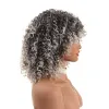 Perücken flauschige, wellige synthetische afro lockige Haar Perücke mit Pony Kinky Curly Perücken für schwarze Frauen Ombre graue Perücken zum täglichen Verschleiß