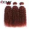 Wigs Kinky Curly Human Hair Bundles With Closure Auburn Brown 100% Human Hair Weave Bundles With Closure Brazilian Remy Hair Weft