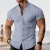 Men's Casual Shirts Single-breasted Shirt Stylish Stand Collar Cardigan For Summer Business Wear Men Slim Fit