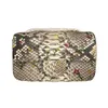 Axelväskor franska charei topp afrikansk färg grå python hud kvinnors väska lång kedja mode singel diagonal med låda