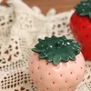 Bottiglie di stoccaggio Vaso sigillato in ceramica creativa con fragola Zuccheriera Tè Articoli da cucina Contenitori per alimenti Decorazione domestica