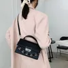 Shoulder Bags Crossbody For Women 2024 Fashion Chain Flap Handbag Luxury Designer Leather Messenger Casual Small Square Bag