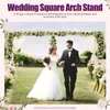 3x6M Wedding Arch Metal Iron Backdrop Stand Door Birthday Party Decor Silver Balloon Frame Garden Flower Plants Rack 240322