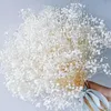 Bouquet de fleurs séchées pour bébés, 100g, branches de gypsophile naturelles en vrac, blanches, pour mariage, couronne florale, DIY, 240325