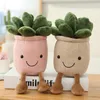 Plantes succulentes en pot souriantes, décoration du salon, de la maison, cœur de fille, jouet en peluche mignon pour décoration de personnes âgées