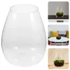 Vases Micro Landscape Bottle Glass Ecological DIY Plants Container Hydroponic Vase Moss Planter Flower