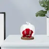 Storage Bottles Apple Glass Cover Transparent Mini Cake Showcase Dustproof Display Dome With Base Creative Decor Pots