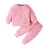 Ensembles de vêtements 2 pièces vêtements pour bébés filles en bas âge filles rose couleur unie sweat à capuche à manches longues pantalon printemps automne costume pour bébé pour 6 12 18 24 mois