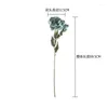 Decorative Flowers 1 Flower Bud Dried Peony Branches Simulated Home Decoration Goldfinch Artificial YC182