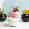 Decorative Flowers Simulated Plant Thunderboy Artificial Succulent Plants Bonsai Random Variety Without Flower Pot