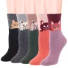 Boots 5 paires d'hiver femmes chaussettes en laine vintage animaux motif de chat