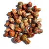 Brincos Pulseira Jóias 50 Pcs Promoção Limitada Estátua de Cogumelo Ornamentos de Pedra Chakra Beads Adorna Tanque de Planta Gem Cristal Fazendo Fen Dhxdk