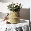 Seagrass Wicker Work Rattan Sepet Asma Dikim Sak Pot Depolama Çamaşır Sepeti Cesta Mimbre Ev Bahçe Dekorasyon