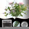 Vases Spiral Ikebana Stem Holder Transparent Flower Arrangement Support DIY Floral Art Accessory Home Decor