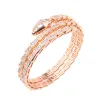 Bangles Designer Style Femmes Lady Plated Gold Color Paramètres Full Cumbic Zircon Snakelike Elastic Double Circle Bangle Bracelet