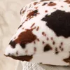 Travesseiro de cabelo Ins Impresso Lance Almofadas Capa Quadrada Dupla Face Sofá Fronha Colorida Decoração de Casa Cadeira