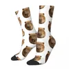 Herrstrumpor roliga manliga capybara möter vintage harajuku hiphop novelty crew crazy sock present mönster tryckt