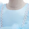 Kinderen Verjaardag Prinses Jurk Voor Meisjes Kinderen Kostuum Bloem Tule Formele Bruidsmeisjekleding Meisje Party Wedding Prom Gown 240321