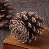 Vases TOYMYTOY 50pcs 6-8cm Christmas Natural Pine Cones Pinecone Decor Xmas Tree Decoration Crafts Home House Kitchen Winter