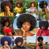 Peruker kort afro kinky lockiga peruker för svarta kvinnor syntetiska afrikansk vin röd cosplay peruk naturlig fluffig mjuk hög temperaturfiber