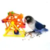 Autres fournitures d'oiseaux jouet de recherche de nourriture en plastique mangeoire de perroquet améliorer l'intelligence rotation moulin à vent pour calopsitte perruche conure