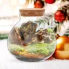 Vazen Micro-Landscape Bottle Mini Desktop Plant Terrarium Glass Ecological Moss Container